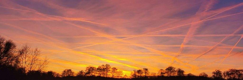 Der Mensch img 20250303 180756